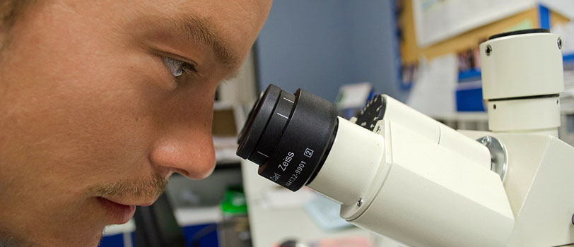scientiest looking through microscope